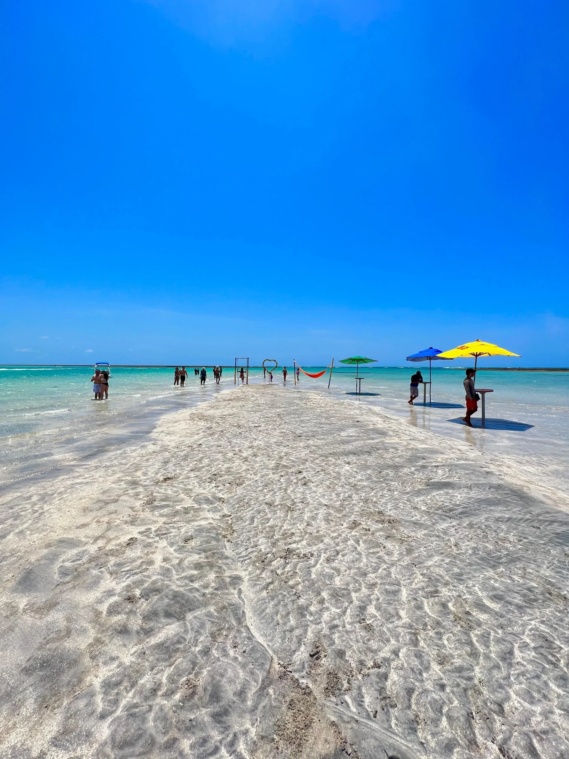 Passeios Exclusivos em Maragogi_