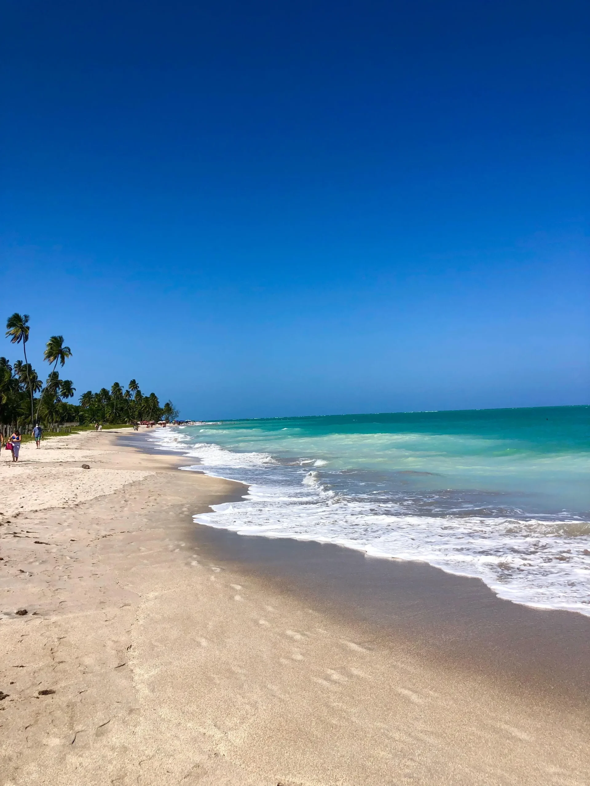 Passeios Exclusivos em Maragogi_4