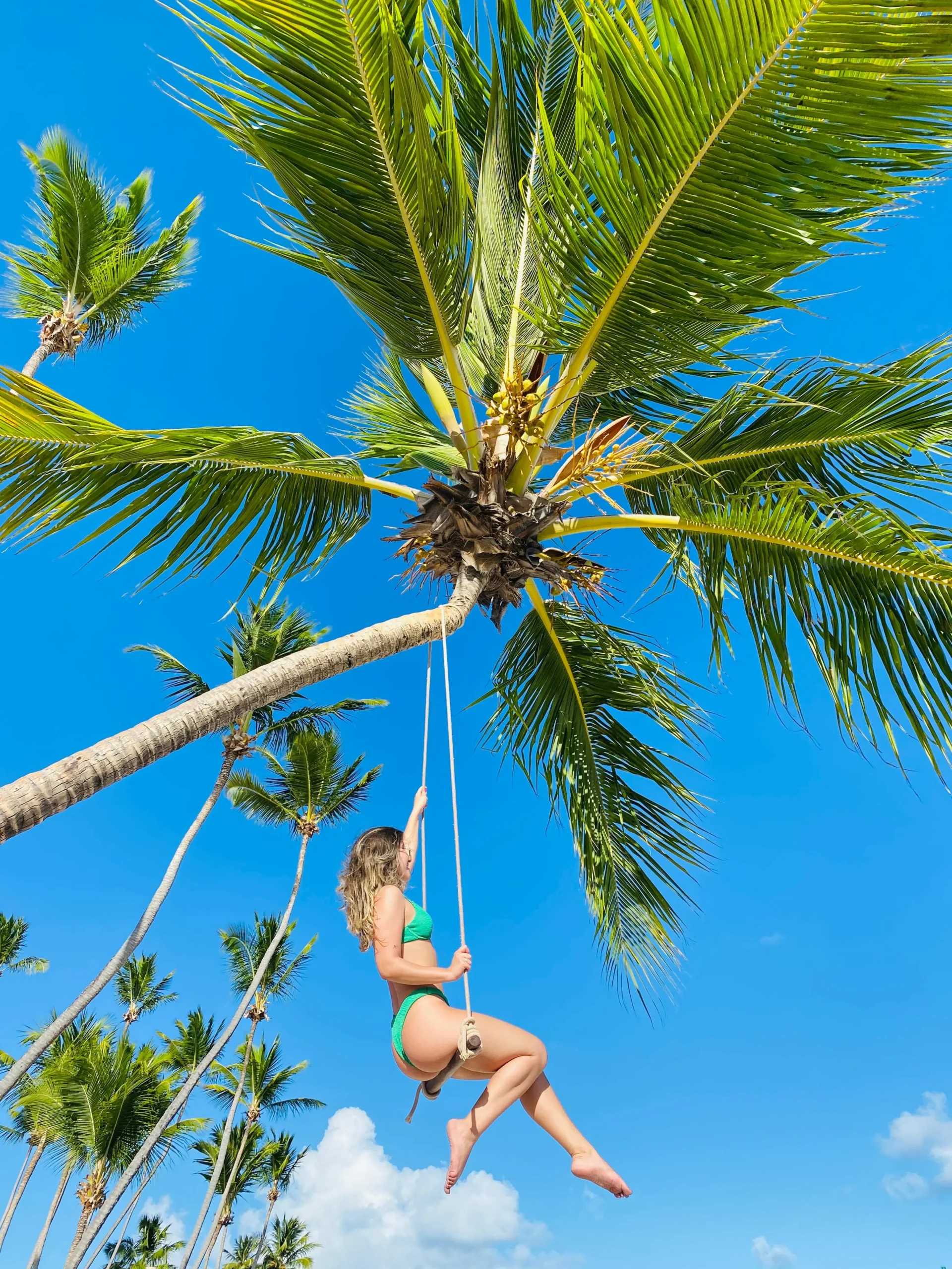 Passeios Exclusivos em Maragogi_5