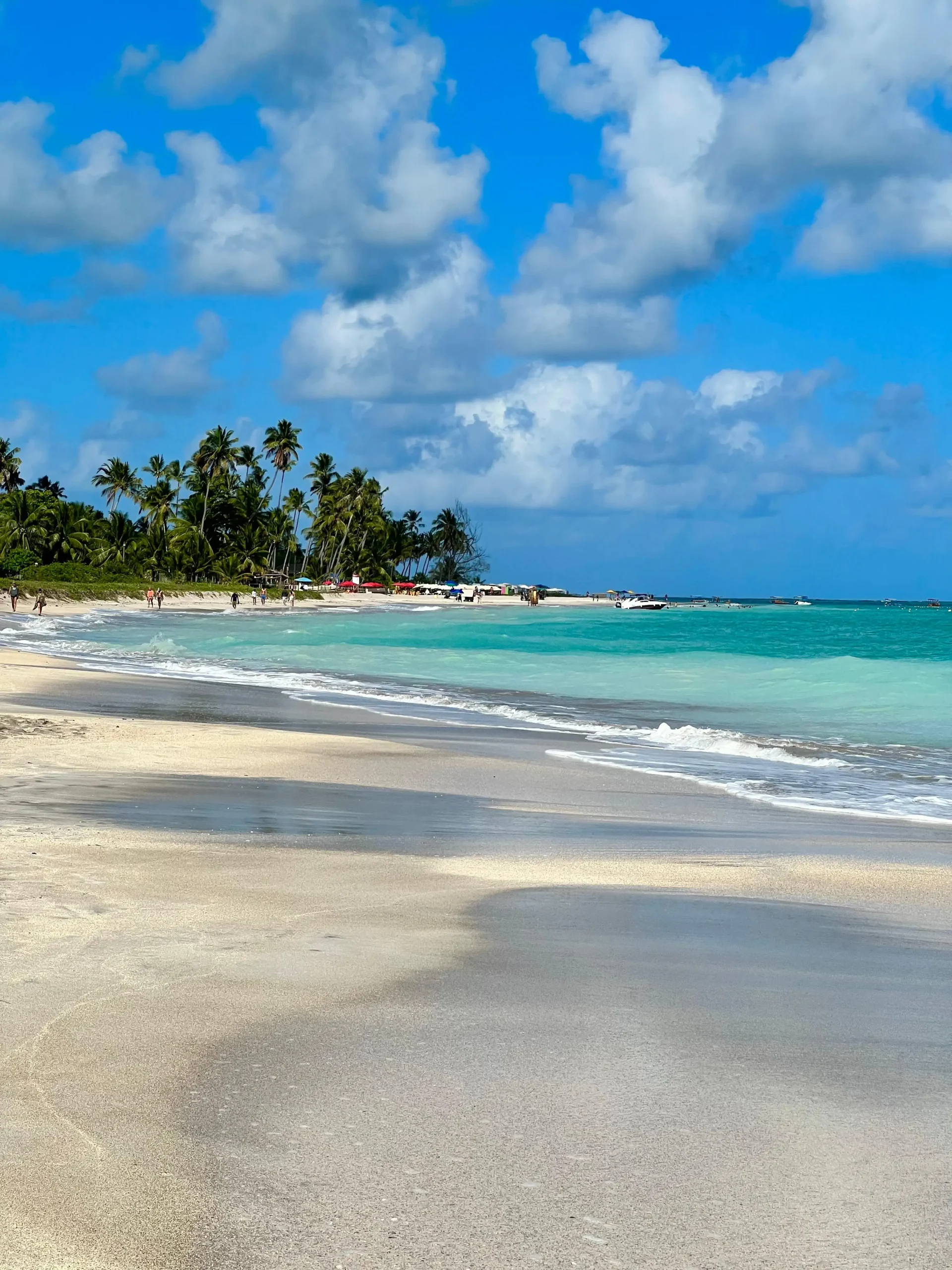 Passeios Exclusivos em Maragogi_7