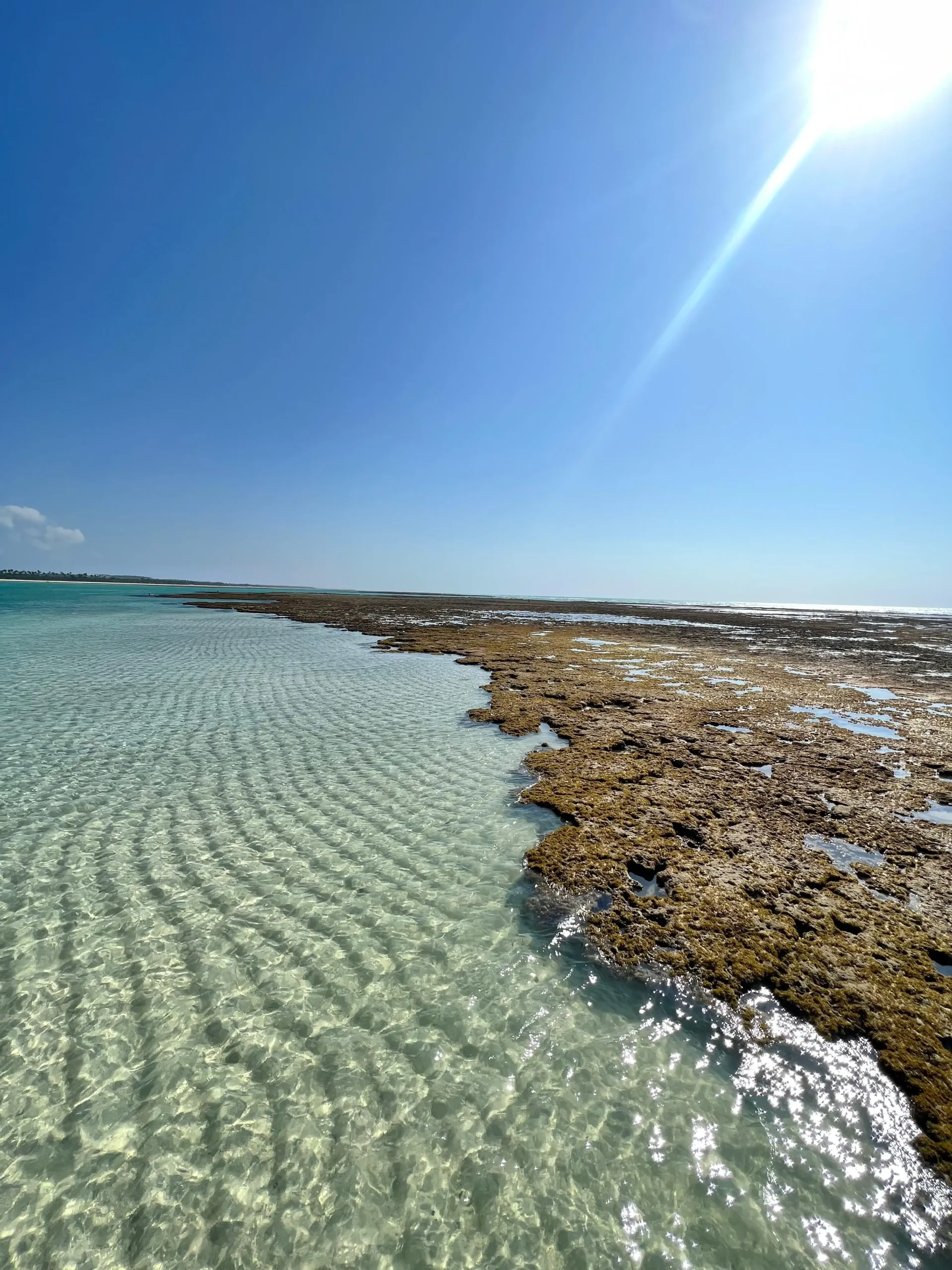 Corais de São Miguel dos Milagres – Tour Alagoas
