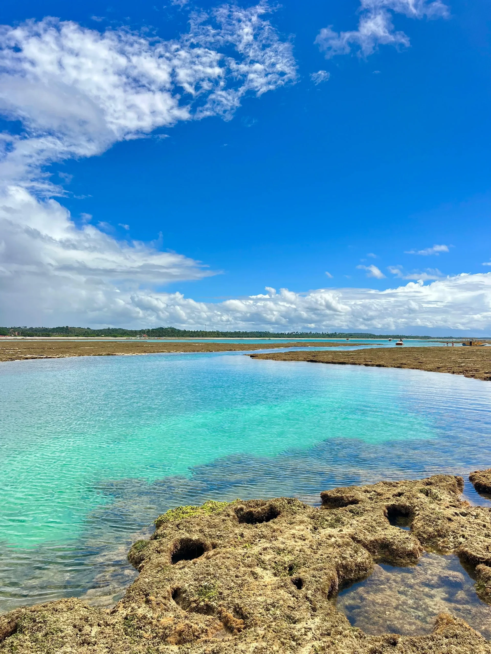 São Miguel dos Milagres – Tour Alagoas
