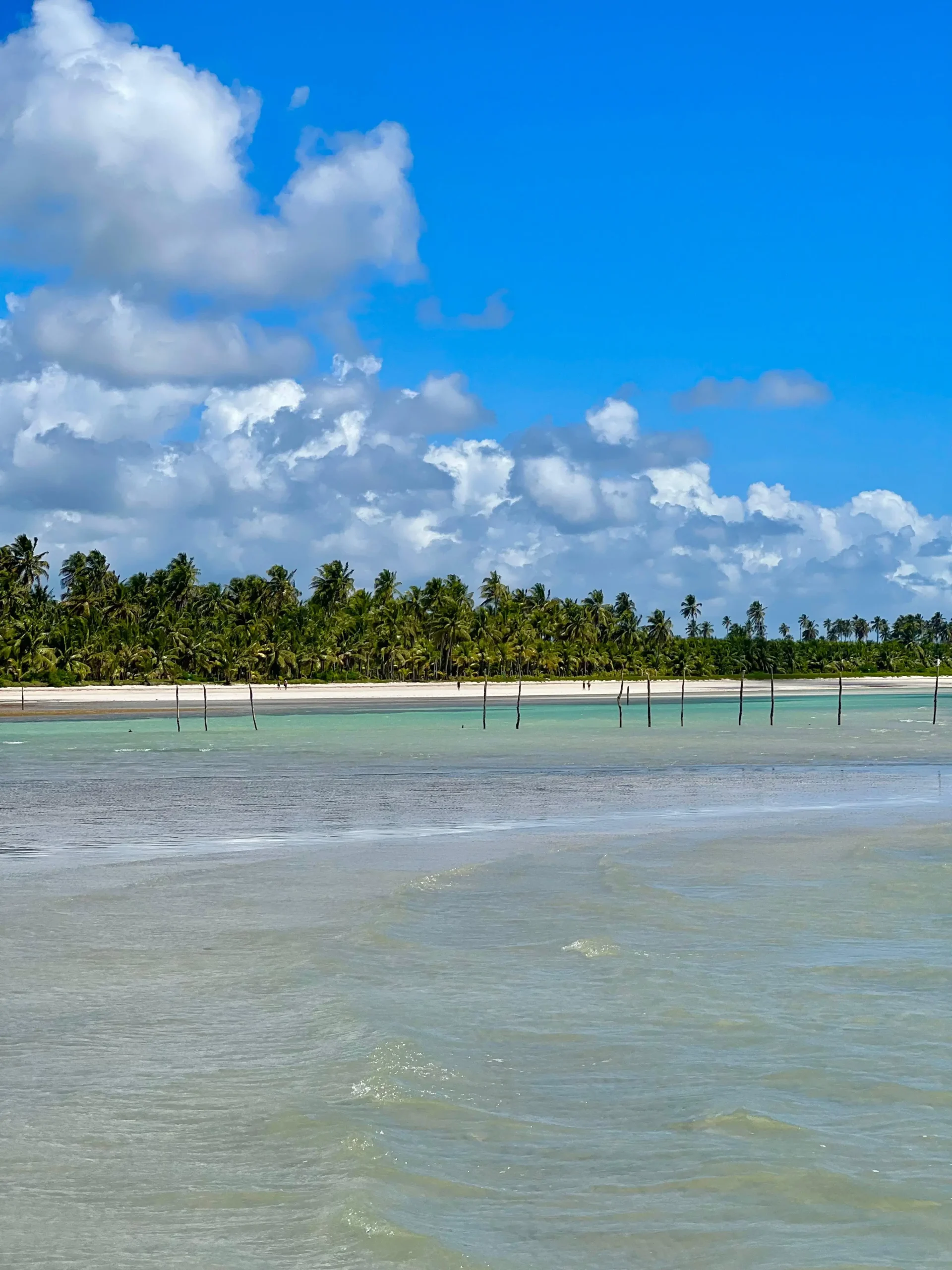 São Miguel dos Milagres - passeios Tour Alagoas_3