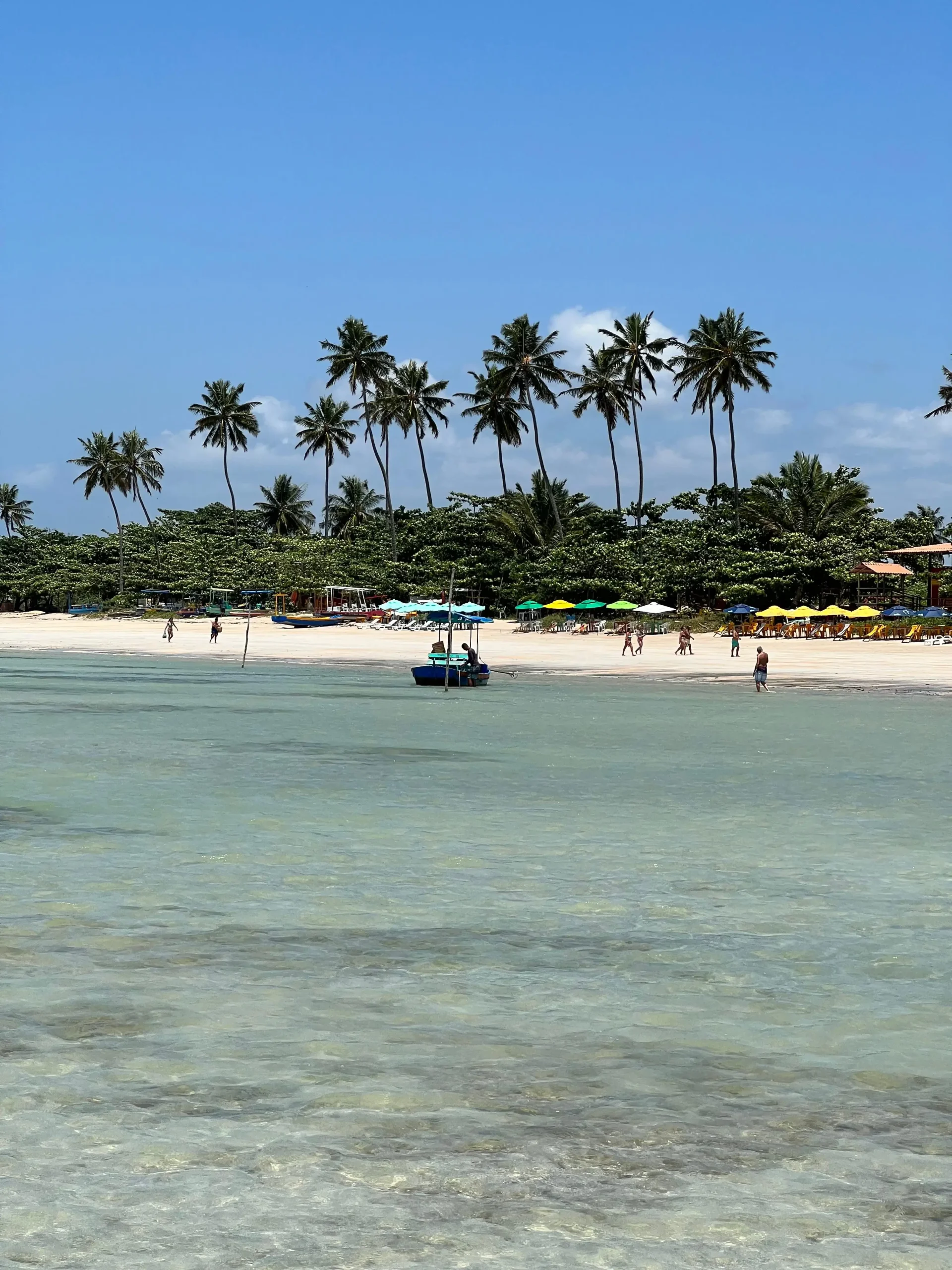 As Praias de São Miguel dos Milagres – Tour Alagoas