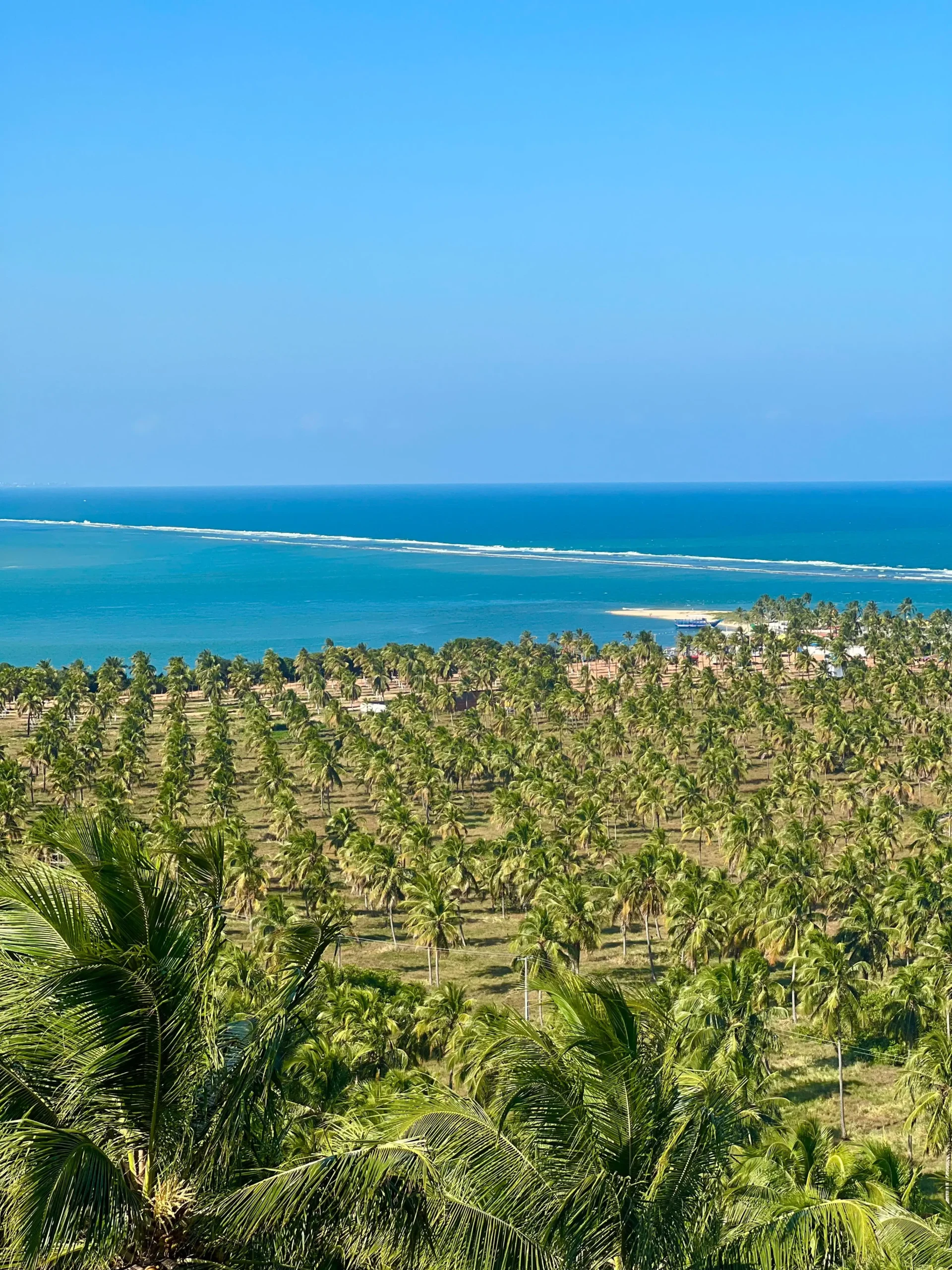 Mirante da Praia do Gunga – Tour Alagoas