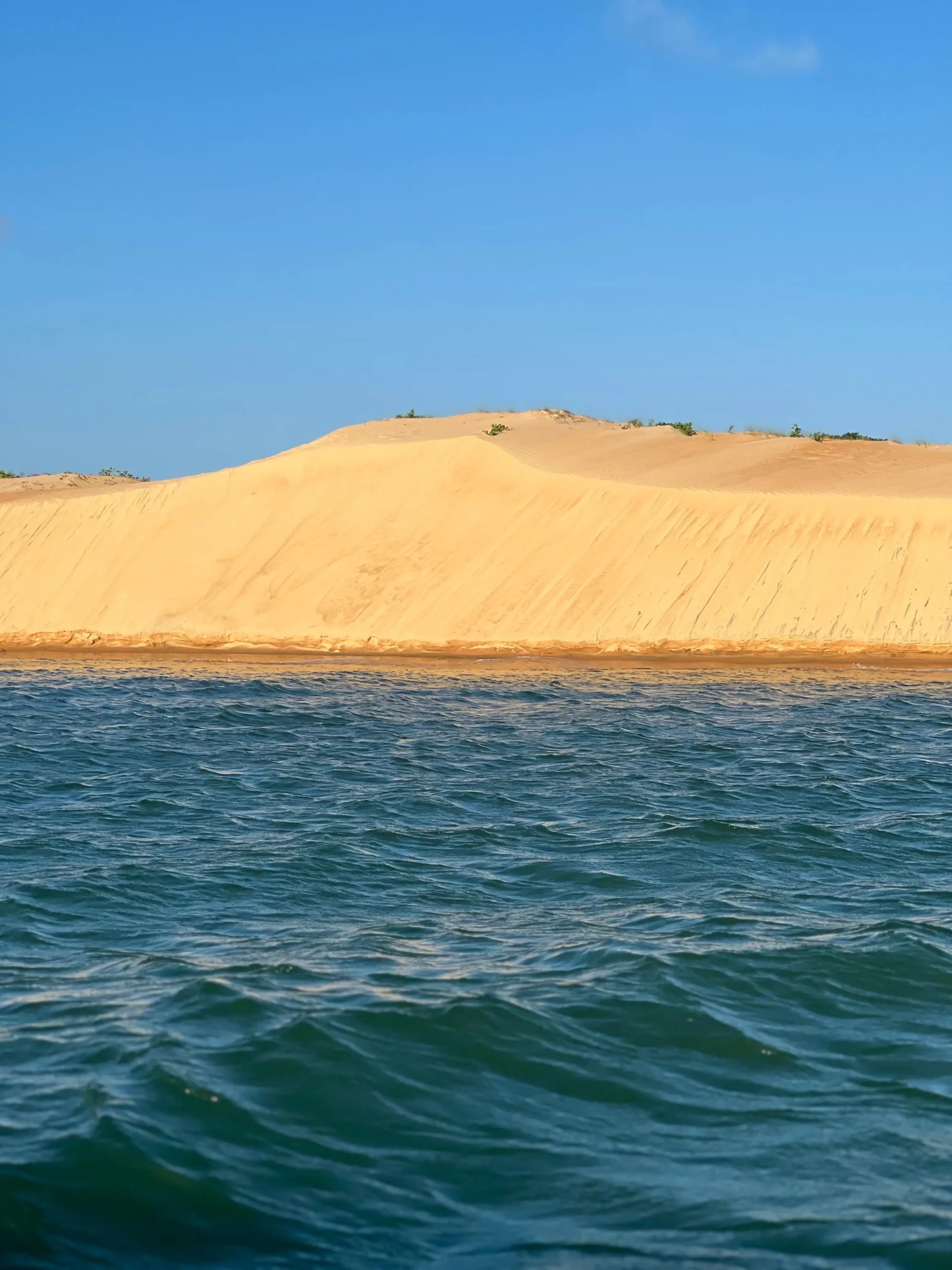 Desbrave o majestoso Rio São Francisco com a Tour Alagoas!