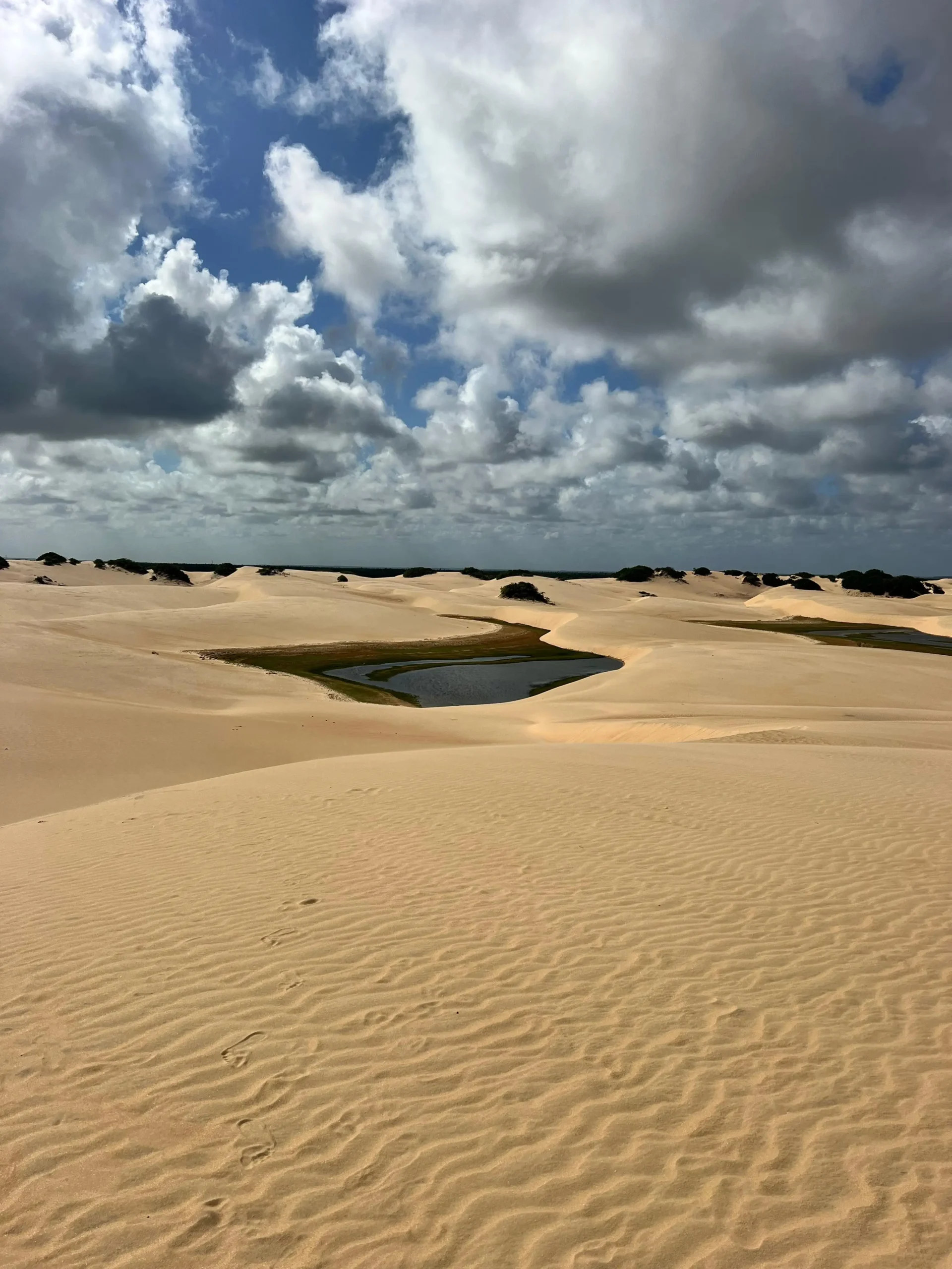 Águas Doces entre as Dunas – Passeios Rio São Francisco – Tour Alagoas
