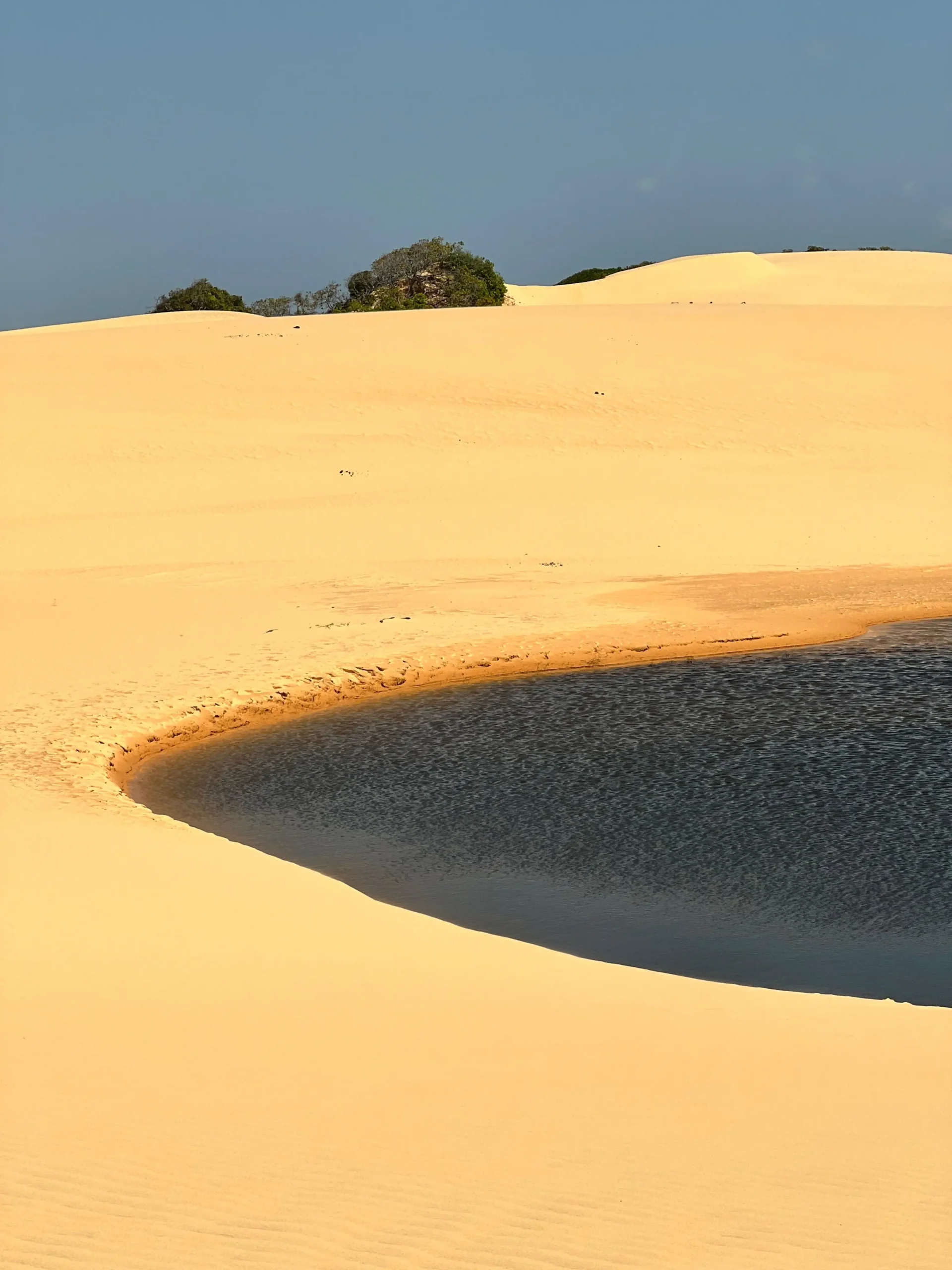 Explore as encantadoras lagoas do Rio São Francisco com a Tour Alagoas!