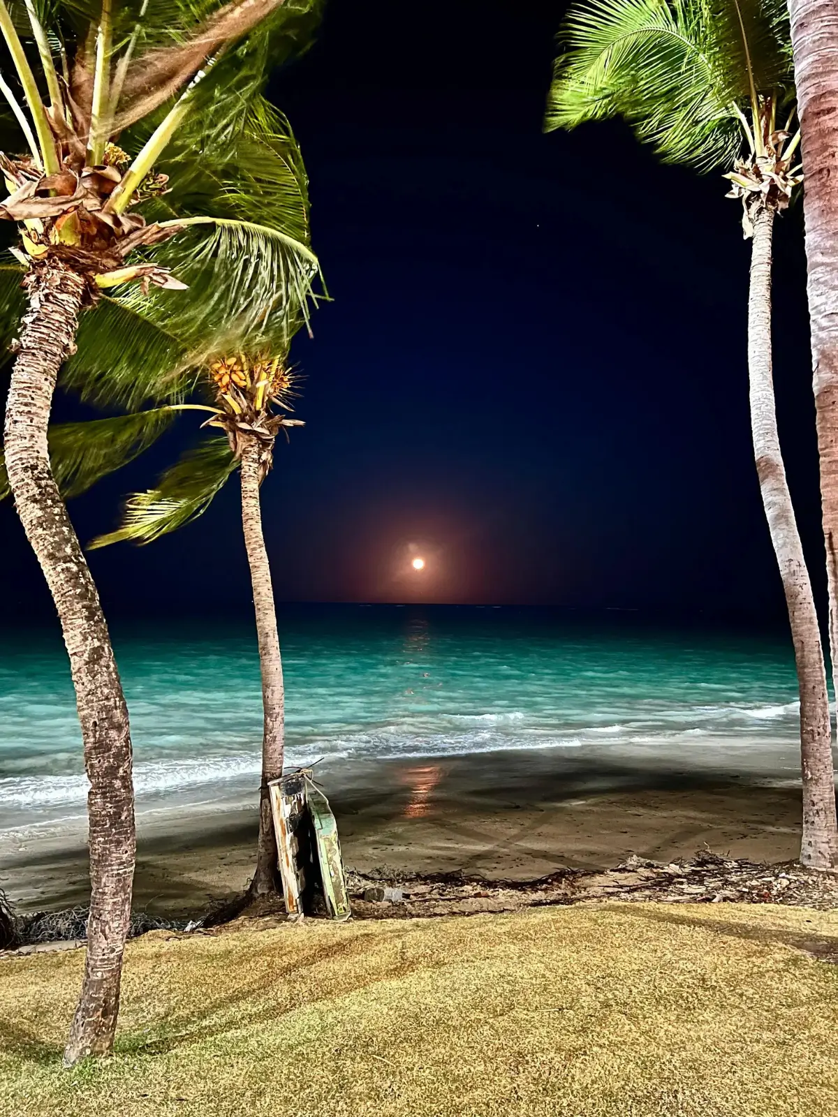 Mais que um Passeio: Um Cuidado com Você