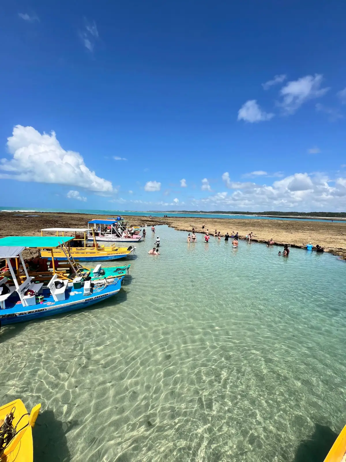 Tour Alagoas: Seu Roteiro Personalizado pelas Belezas Naturais de Alagoas