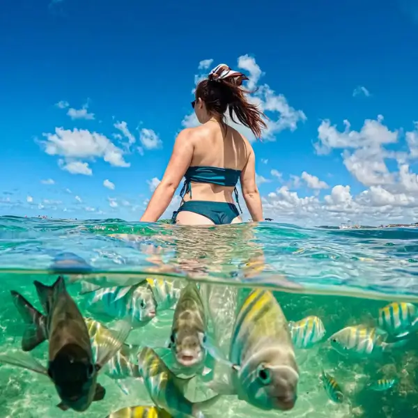 Nossos passeios são pensados para surpreender — seja no mar azul de Antunes ou nas piscinas naturais de Maragogi.