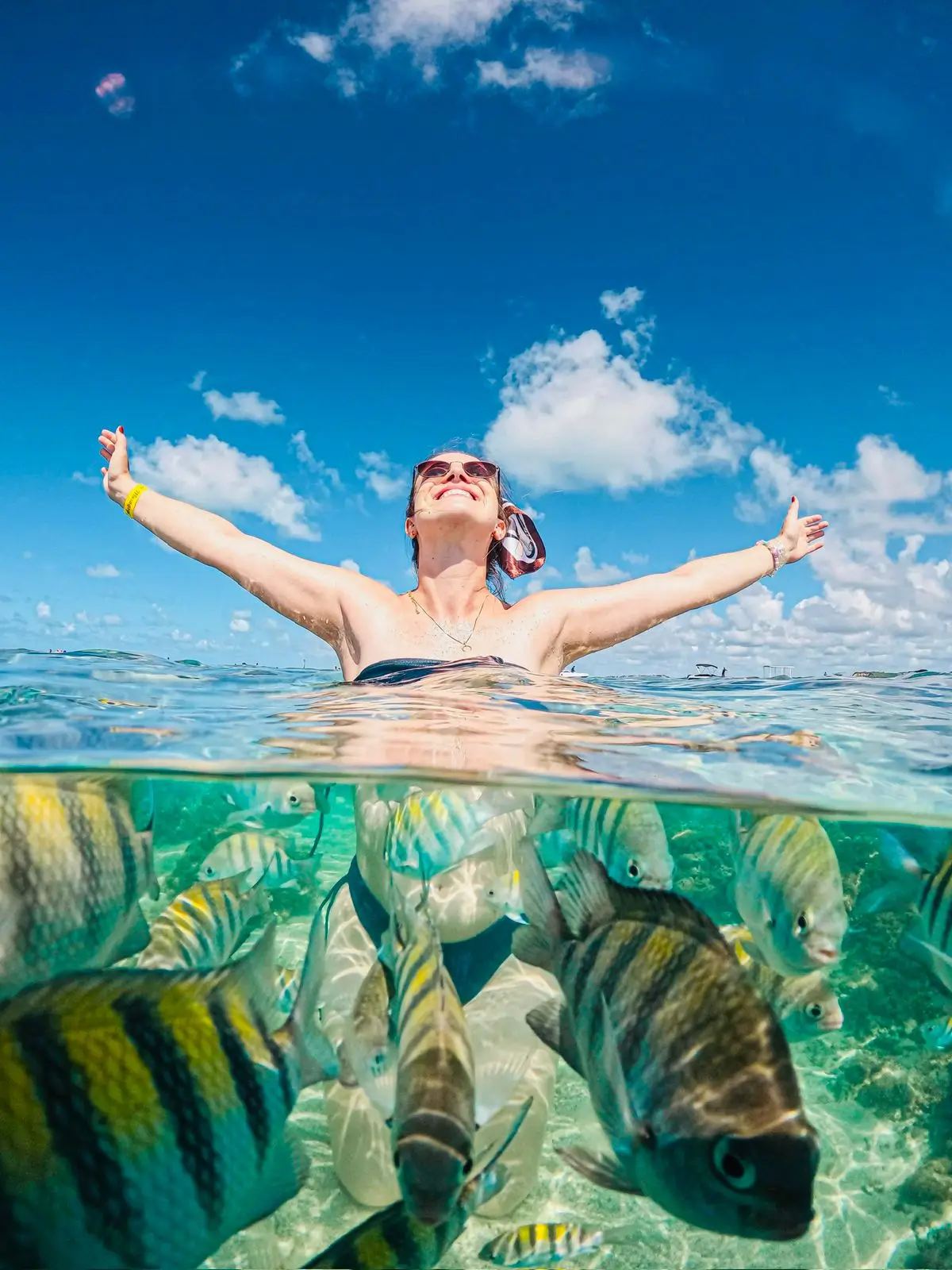 Desvende os tesouros ocultos de Maragogi_Tour Alagoas